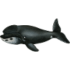 bowhead whale