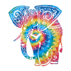 Tie Dye Elephant Mandala
