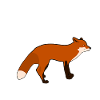 Crazy into Foxes