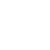 Pedal Steel Guitar