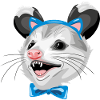 Funny opossum