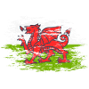 Wales flag used