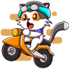 Chat sur moto