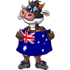 Australian Cow Fan