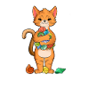 Shell collector cat