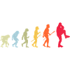 Évolution du baseball