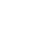 Chief Boss