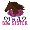 I'm a big sister -