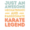 Mechatronics Technician Karate retro