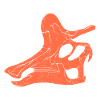 Lambeosaurus fossil skull