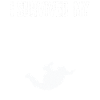 Skydiving, Skydiving