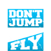 Skydiving, Skydiving
