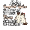 Ragdoll Katze