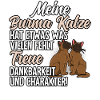 Burma Katze