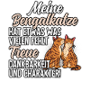 Bengalkatze