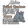 Britisch Kurzhaar Katze
