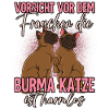 Burma Katzen