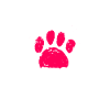 Schipperke