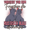 Russisch Blau Katzen
