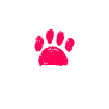 Yakutskaya Laika