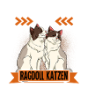 Ragdoll Katze