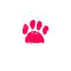 Maltese