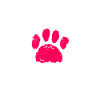Kromfohrländer