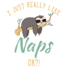 Sloth Lover Sloth Gift