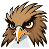 Funny Eagle Head Cartoon Illustration