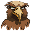 Funny Eagle Head Cartoon Illustration