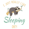 Sloth Lover Sloth Gift