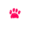 Bloodhound