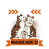 Norwegische Waldkatze