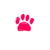 Brandlbracke