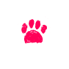 Cockapoo
