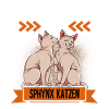 Sphynx Katze