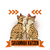 Savannah Katze