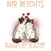 Ragdoll Katze