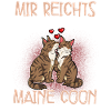 Maine Coon Katze