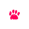 Mudi