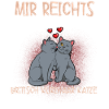 Britisch Kurzhaar Katze