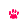 Puli