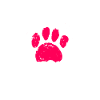 Podenco
