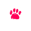 Schnoodle