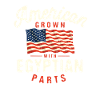 Americans with Egyptian patriotic nationalities