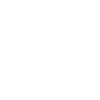 White donkey