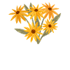 Rudbeckien Bouquet