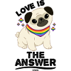 Pug Dog Pet