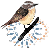Cute Brownthroat Bird 2023