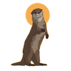 Otter Otter Sea Otter Gift